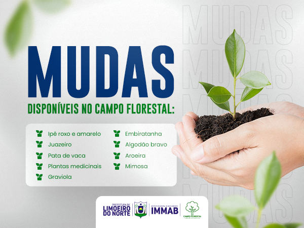 Mudas disponíveis no Campo Florestal